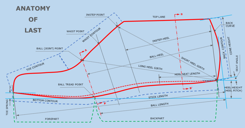 Anatomy and Glossary of Shoe Last