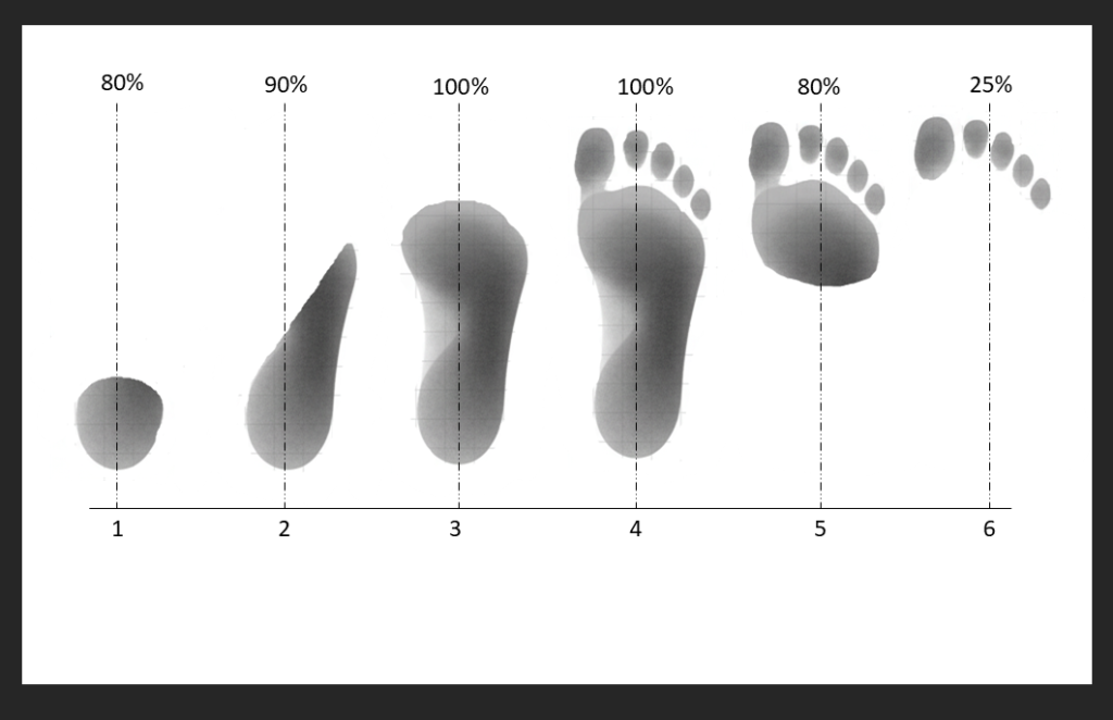 Sequential foot impressions of weight distribution during gait.