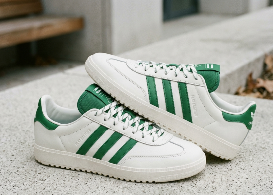 Pharrell Adidas Vario Flat Earther sneaker