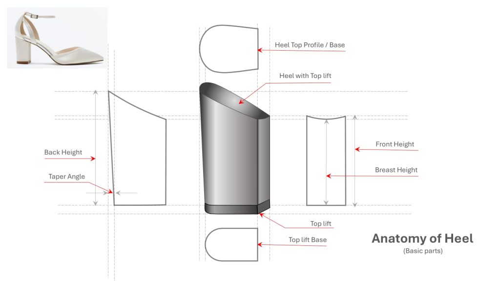 Anatomy of Footwear Heel - Basic parts of Footwear Heel Explained