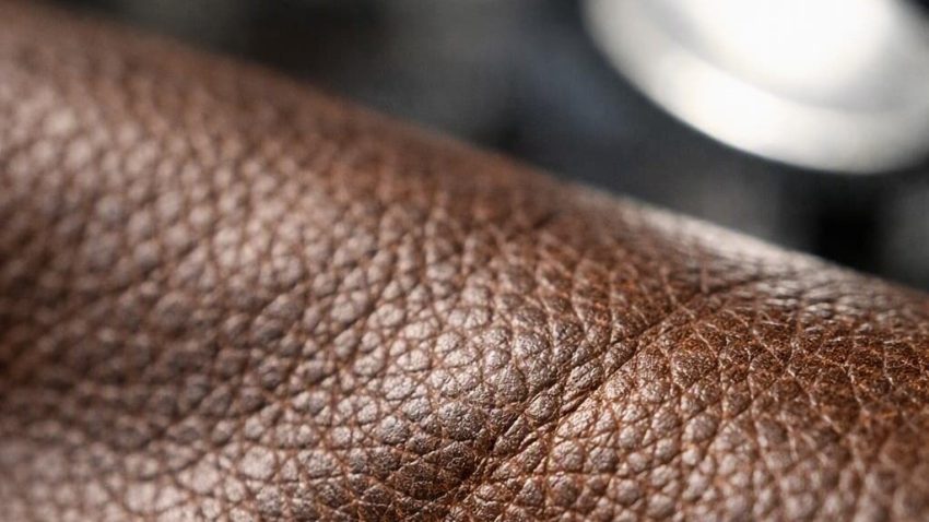 Close-up view of natural leather grain and surface structure